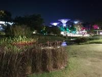 Lichtershow im Gardens by the Bay in Singapur