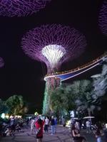 Lichtershow im Gardens by the Bay in Singapur