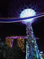 Lichtershow im Gardens by the Bay in Singapur