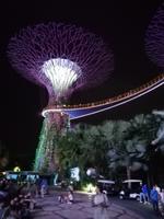 Lichtershow im Gardens by the Bay in Singapur
