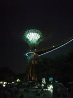 Lichtershow im Gardens by the Bay in Singapur