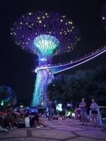 Lichtershow im Gardens by the Bay in Singapur