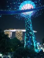 Lichtershow im Gardens by the Bay in Singapur