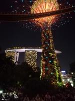 Lichtershow im Gardens by the Bay in Singapur