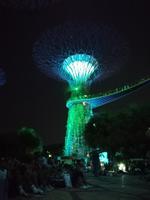 Lichtershow im Gardens by the Bay in Singapur