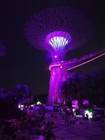 Lichtershow im Gardens by the Bay in Singapur