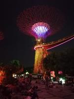 Lichtershow im Gardens by the Bay in Singapur