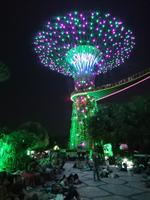 Lichtershow im Gardens by the Bay in Singapur