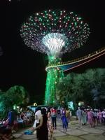 Lichtershow im Gardens by the Bay in Singapur