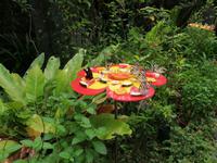 Ausflug Sentosa Island Singapur