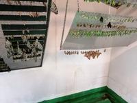 Ausflug Sentosa Island Singapur