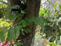 Ausflug Sentosa Island Singapur