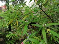 Ausflug Sentosa Island Singapur