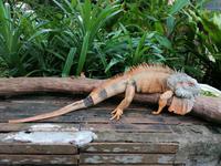 Ausflug Sentosa Island Singapur