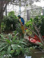 Ausflug Sentosa Island Singapur