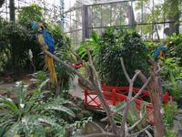 Ausflug Sentosa Island Singapur