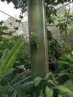 Ausflug Sentosa Island Singapur