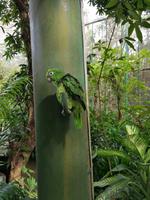 Ausflug Sentosa Island Singapur