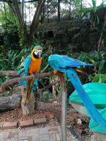 Ausflug Sentosa Island Singapur