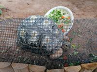 Ausflug Sentosa Island Singapur