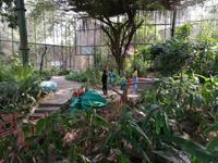 Ausflug Sentosa Island Singapur