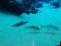 Ausflug Sentosa Island Singapur