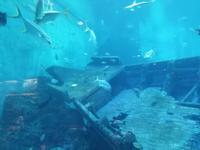 Ausflug Sentosa Island Singapur