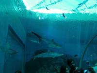 Ausflug Sentosa Island Singapur