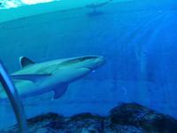 Ausflug Sentosa Island Singapur