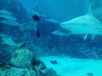 Ausflug Sentosa Island Singapur