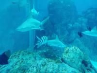 Ausflug Sentosa Island Singapur