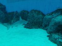 Ausflug Sentosa Island Singapur