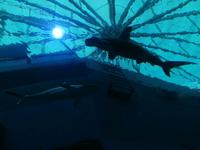 Ausflug Sentosa Island Singapur