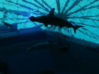 Ausflug Sentosa Island Singapur