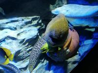 Ausflug Sentosa Island Singapur