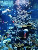 Ausflug Sentosa Island Singapur