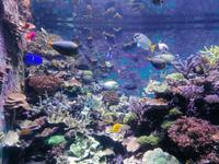 Ausflug Sentosa Island Singapur