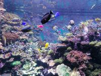 Ausflug Sentosa Island Singapur