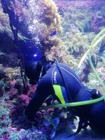 Ausflug Sentosa Island Singapur