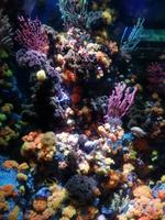 Ausflug Sentosa Island Singapur