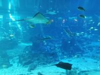 Ausflug Sentosa Island Singapur