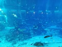 Ausflug Sentosa Island Singapur