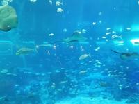 Ausflug Sentosa Island Singapur