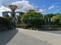 Gardens by the bay Singapur