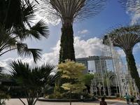 Gardens by the bay Singapur