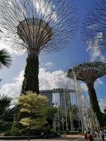 Gardens by the bay Singapur