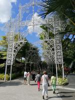Gardens by the bay Singapur