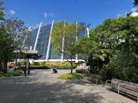 Gardens by the bay Singapur