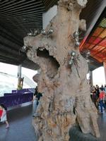 Gardens by the bay Singapur