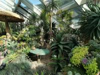 Gardens by the bay Singapur